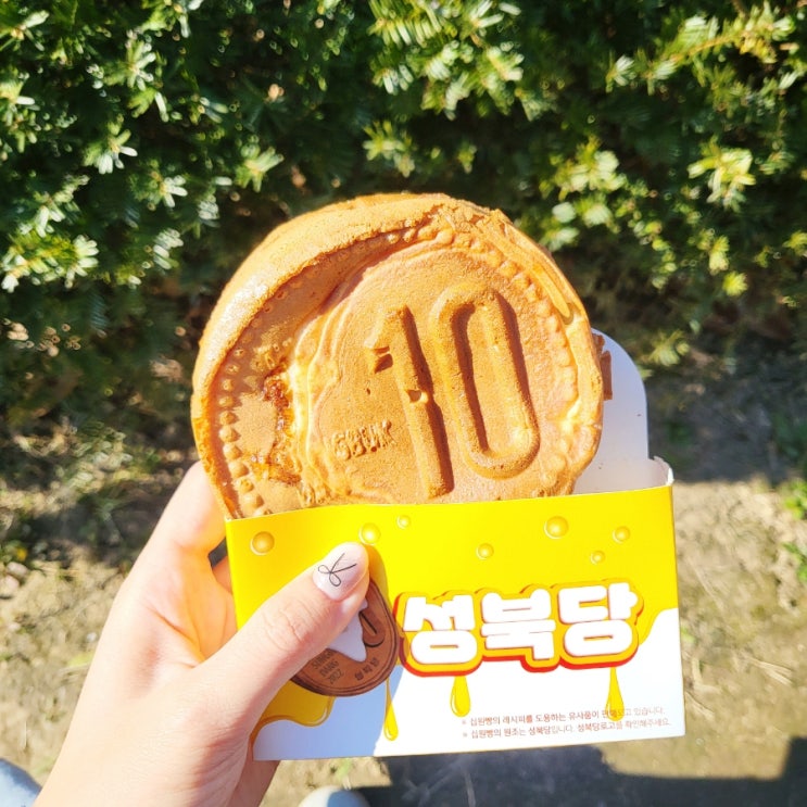 대전 가양동 성북당십원빵 치즈 듬뿍 5가지맛 십원빵 포장