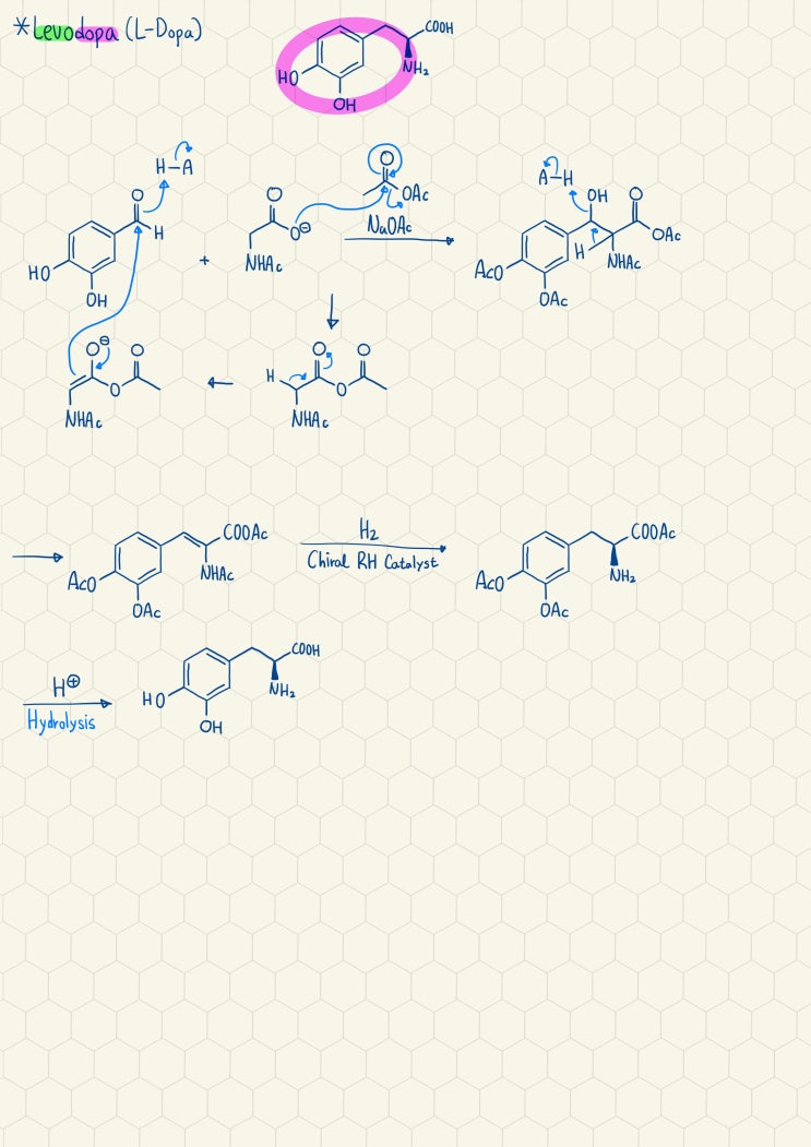  L-Dopa의 합성기전2
