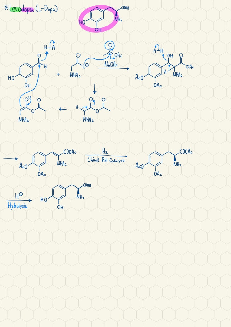 L-Dopa의 합성기전2