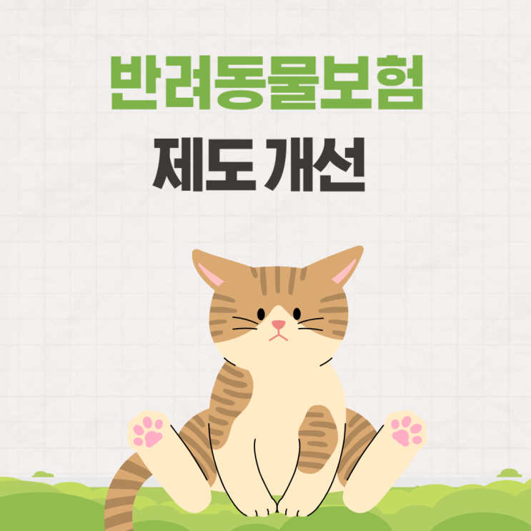  반려동물보험 제도 개선 확인하기 (강아지 고양이 펫보험)