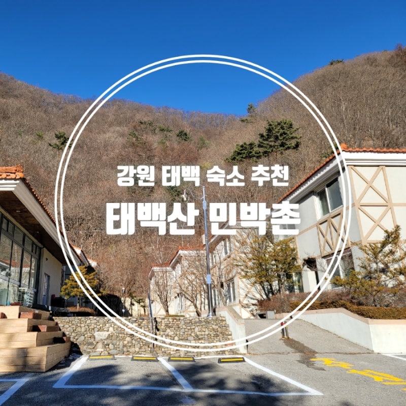 "태백산 민박촌" 강원도 태백 가족여행 가성비 숙소 추천 ('23.12월 리모델링 후 이용후기)