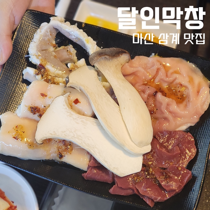  마산 삼계 맛집, 달인막창 삼계점에서 착한 가격으로 종류별 먹방