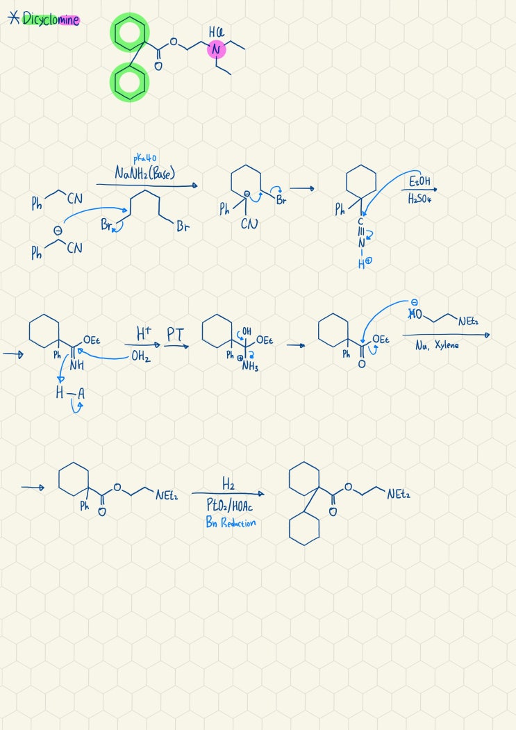  Dicyclomine의 합성기전