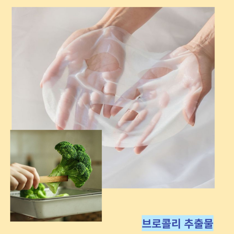 브로콜리 추출물 효능 및 부작용 팩 만드는방법 브로콜리 추출물 효능 및 부작용 팩 만드는방법