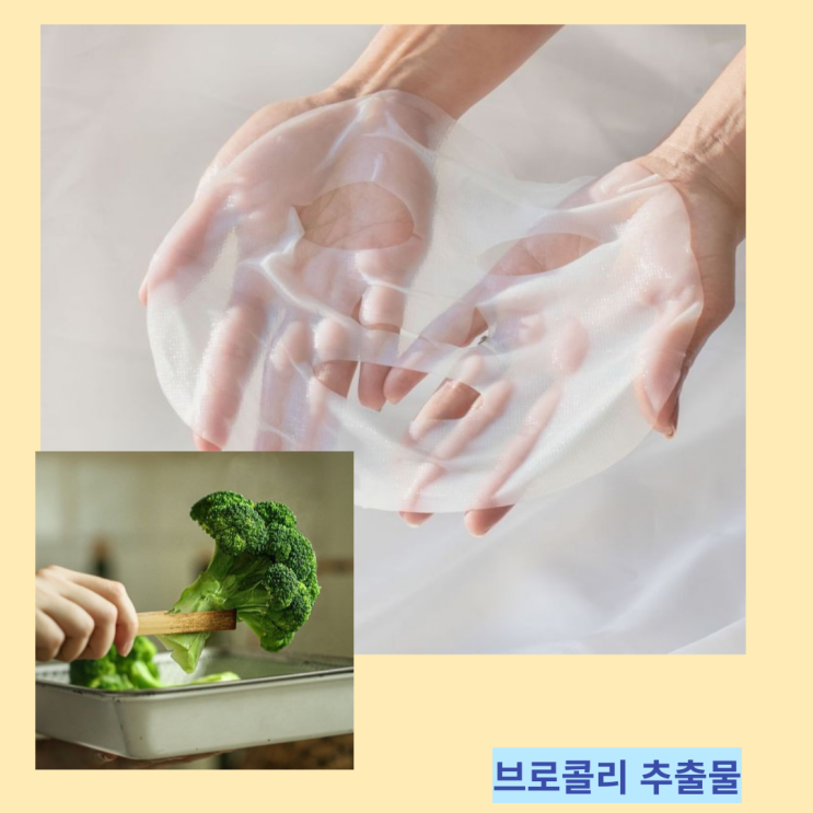 브로콜리 추출물 효능 및 부작용 팩 만드는방법