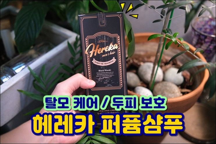  헤레카 퍼퓸샴푸 하루종일 은은한 남자다운 향기 탈모케어 두피개선