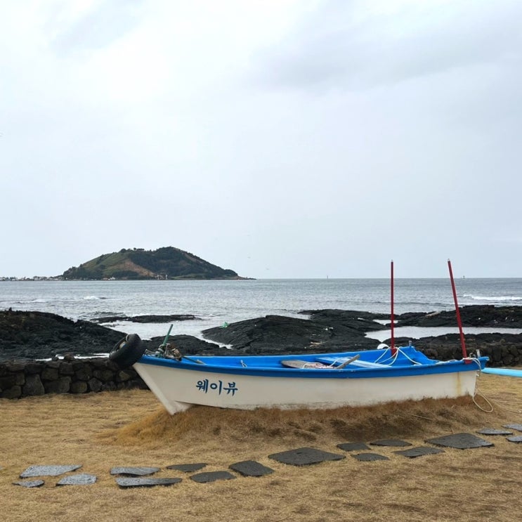 제주도 카페 | 오션뷰 사진찍기 좋은 애월 협재 대형 베이커리 카페 &ldquo;웨이뷰&rdquo; 후기