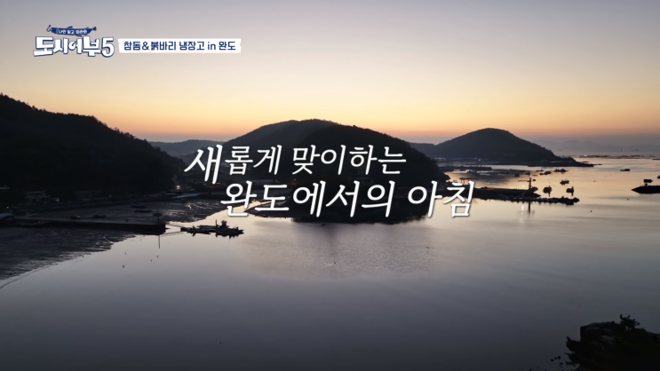  도시어부 시즌5 15화(12월 14일) 참돔 및 붉바리 낚시 요약