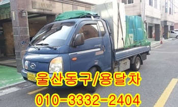  울산동구용달 울릉도 방어진 정자 제주도 양남 양북 감포 입실 모화.