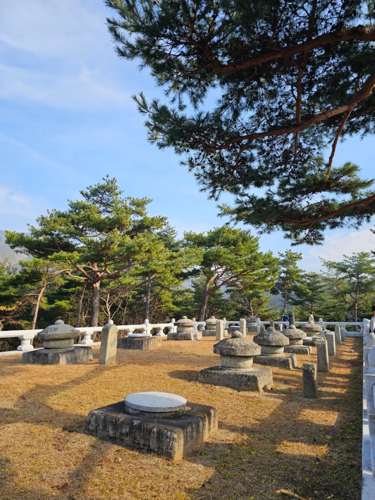  성주 태교여행 세종대왕자태실 성주군대표관광 한개마을 선석사 새불고기식당