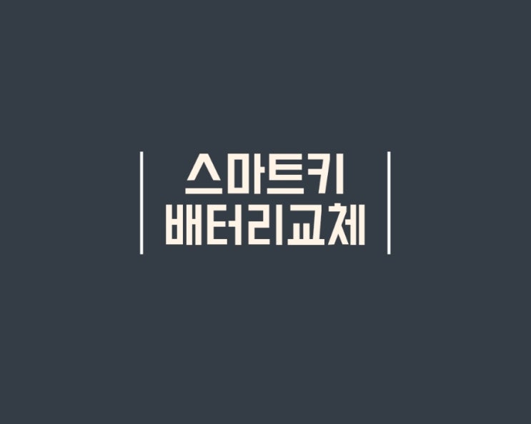  차량용 자동차 스마트키 배터리 집에서 셀프 교체 후기