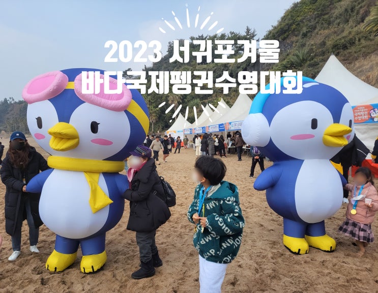 <b>서귀포</b> 겨울바다 국제<b>펭귄수영대회</b>.2024.일정.체험.부대행사.... 
