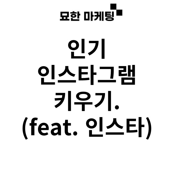  인기 인스타그램 키우기.(feat. 인스타)