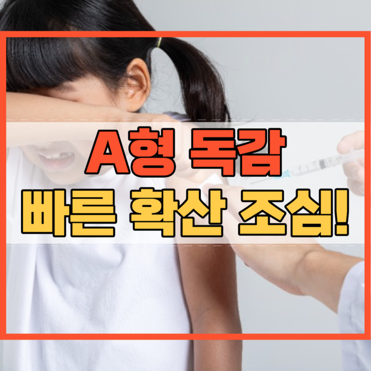  A형 독감 2024년 확산 백신 종류 특징 품질 효능 접종 중요성!