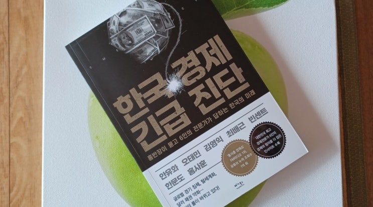 [책 소개] 한국 경제 긴급 진단 - 전문가 6인이 전망하는 한국 경제의 미래