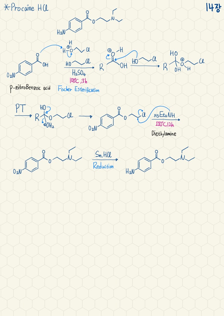 Procaine HCl의 합성기전