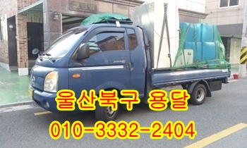  울산북구용달 호계 입실 모화 울릉도 외동 불국사 제주도 정자 주전 양남.