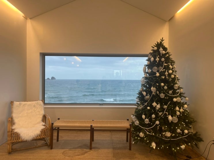  [결혼일기] 제주도 신혼여행 2일차 | 혼인신고, 혼인신고서 작성방법, 혼인신고 하는방법, 내돈내산 기억나는집, 해물탕맛집, 스쿠터 대여, 뷰스트, 올레시장