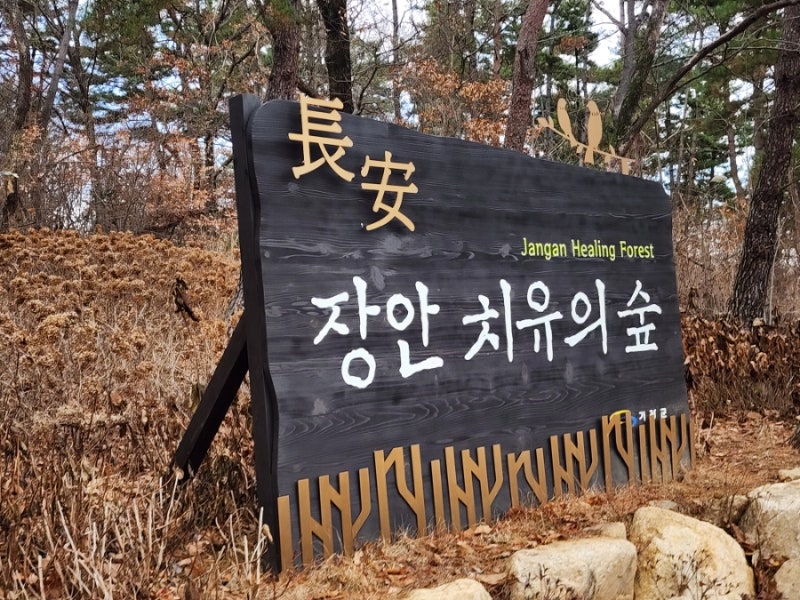 장안 치유의숲 ᆢ23.12.16
