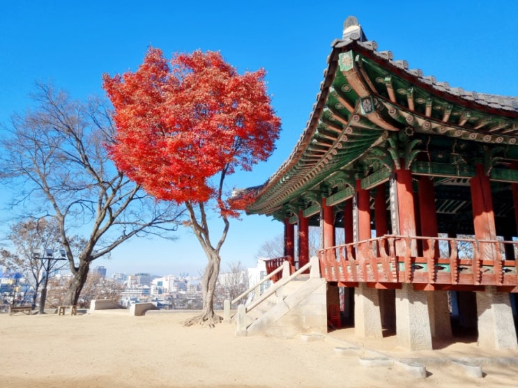  [전주 겨울여행] 전주한옥마을, 전동성당, 경기전, 오목대