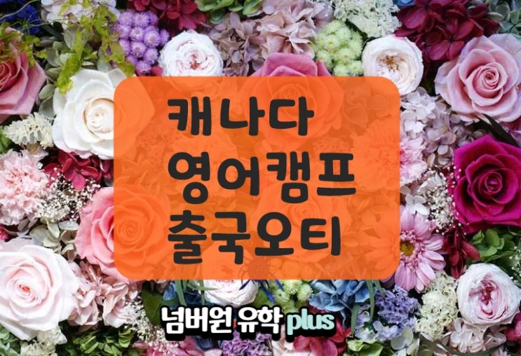  청주영어캠프,  지금은 캐나다 영어캠프 오티 시간입니다.