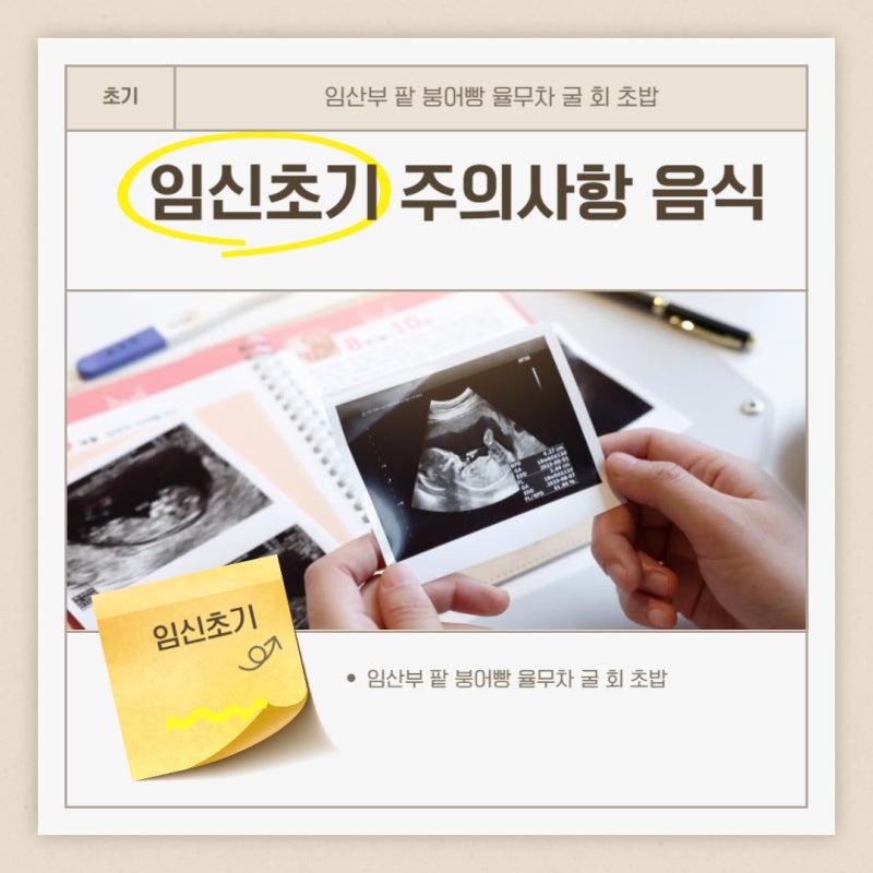 임신 초기 주의사항 음식 임산부 팥 붕어빵 율무차 굴 회 초밥