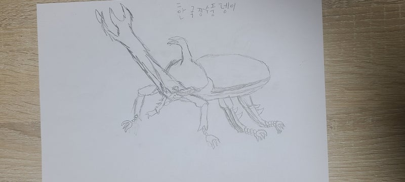 장수풍뎅이 그림그리고 디폼블럭으로 만들기