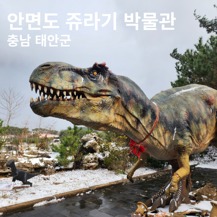 태안 여행 안면도 쥬라기 박물관 충남 아이와 가볼만한곳 공룡 모형 및 진품이 가득한 공룡 박물관