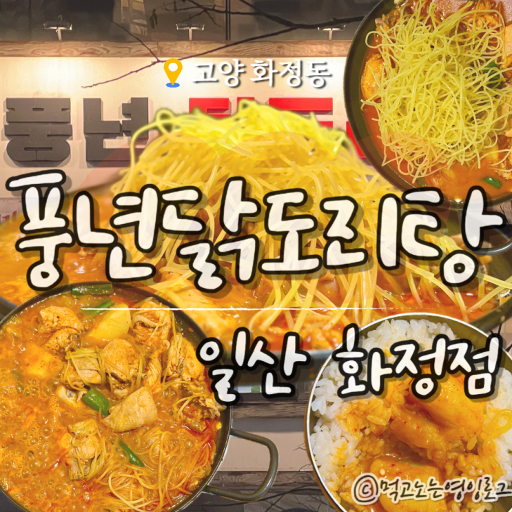  화정닭도리탕 화정역 맛집 풍년닭도리탕