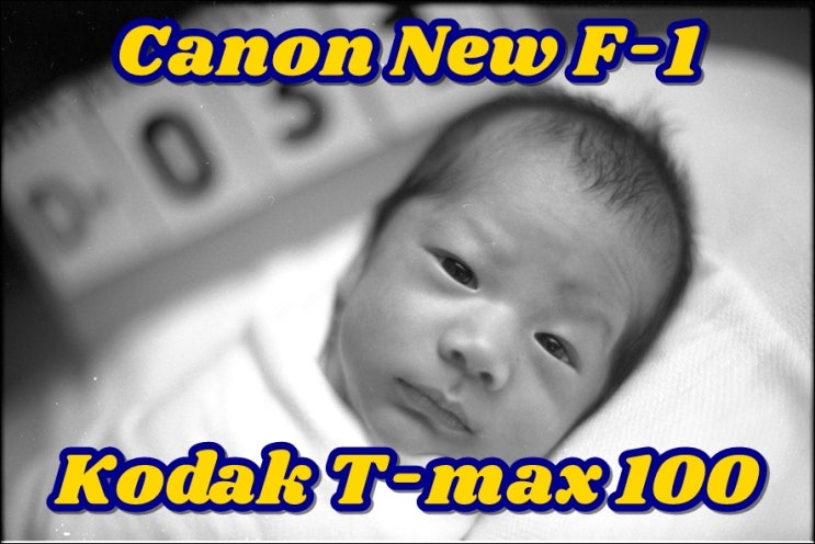  캐논 NEW F-1  코닥 티맥스100 (T-max 100)  윤재가 NICU에서 퇴원해서 처음 집에 온 날의 흑백필름사진