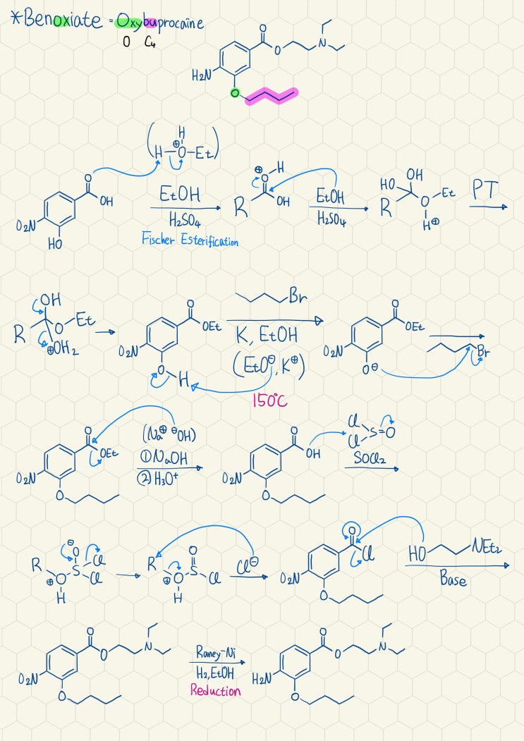  Benoxinate/Oxybuprocaine의 합성기전