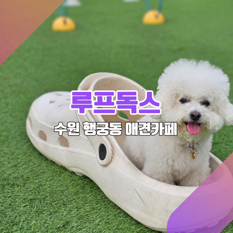  [수원 행궁동 애견카페_루프독스] "행리단길에선 좀 멀지만, 걸어갈만한 이유가 있다?"