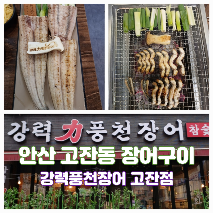 안산 장어집 고잔동 강력풍천장어 고잔점 안산장어구이 맛집 안산 장어집 고잔동 강력풍천장어 고잔점 안산장어구이 맛집