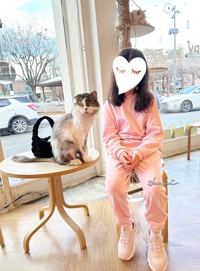  청주 고양이카페 운리단길 엔탈피