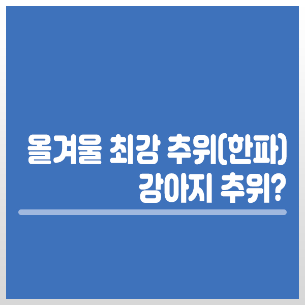 <b>올겨울 최강</b> 추위(<b>한파</b>),강아지도 추위를 탈까?강아지 저체온증