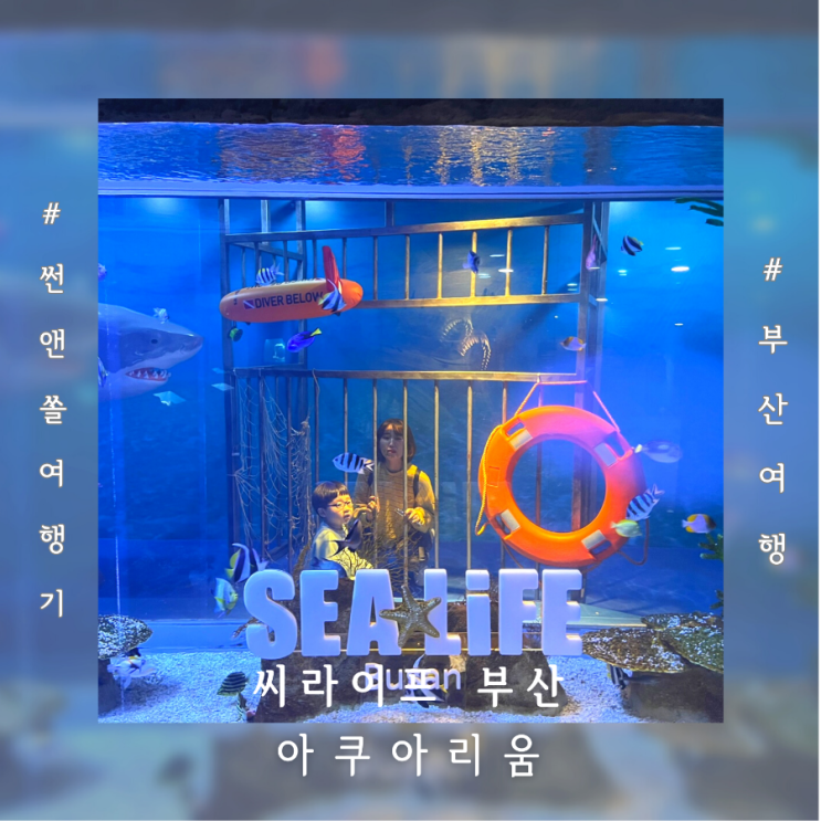  해운대 아이랑 다녀온 씨라이프부산아쿠아리움 주차 가격 공연