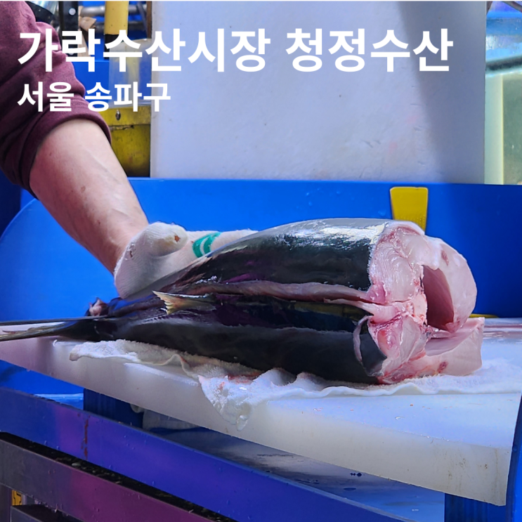 가락시장 가락몰 수산시장 친절한 청정수산 대방어회 3~4인 양, 가격 내돈내산 구입후기