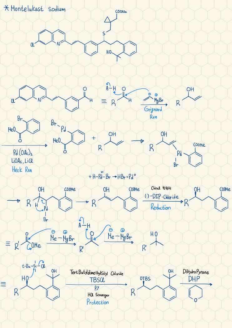 Montelukast Sodium의 합성기전