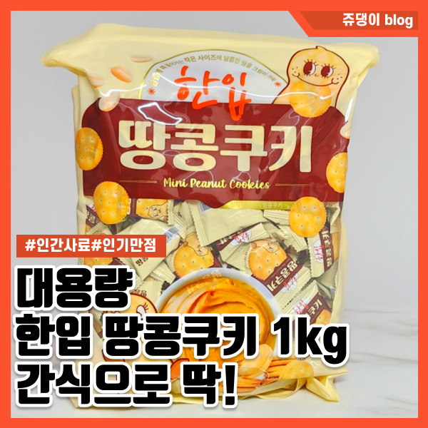 인간사료 대용량 한입 땅콩 쿠키 1kg 후기 (feat.사무실간식)