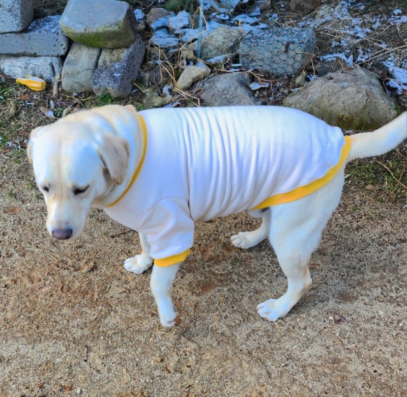 사진 2