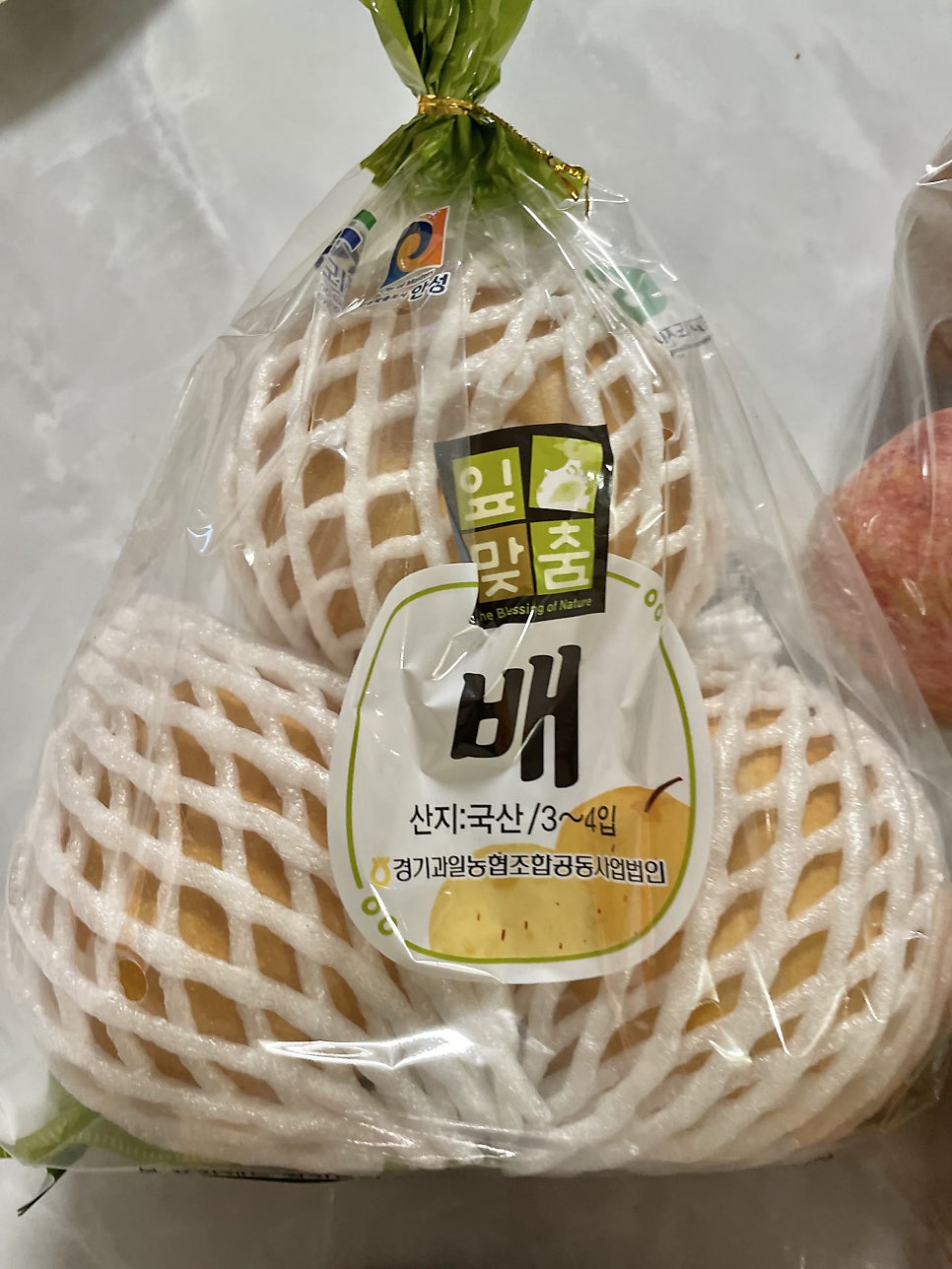 호야네 사진 5
