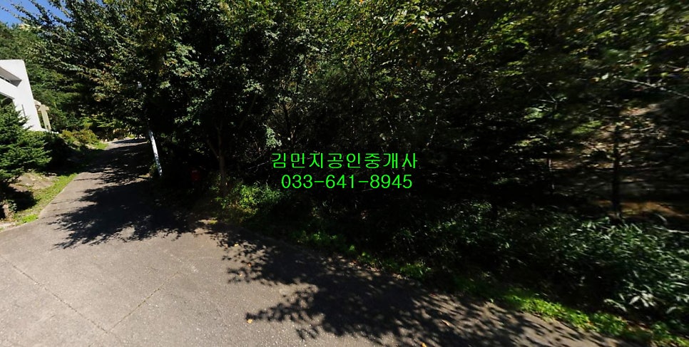 재레니골 사진 1