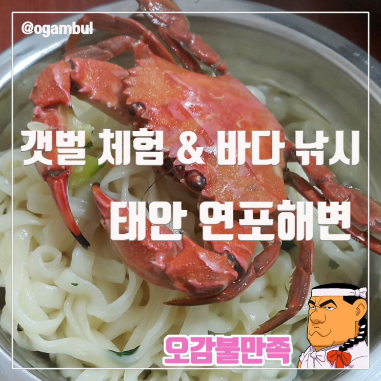  태안 연포 해변에서 즐기는 갯벌체험과 바다낚시