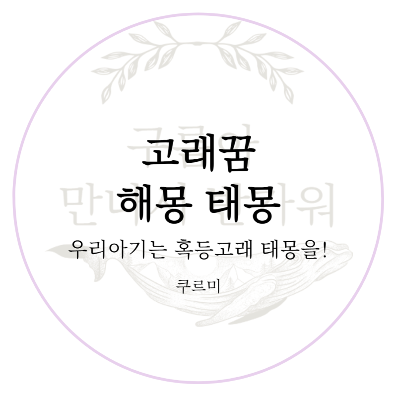 임신 꿈 해몽 고래 태몽 꿨어요