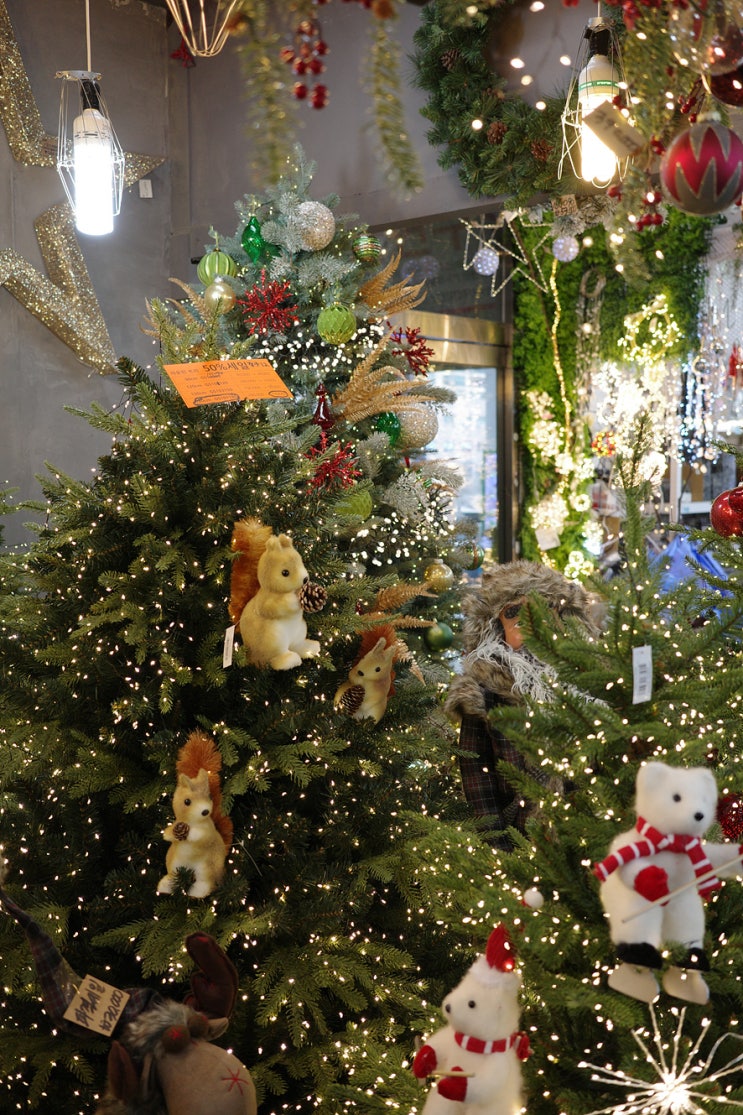 블로그씨, 고속터미널 꽃시장 크리스마스 트리다발, 갈란드 만들기