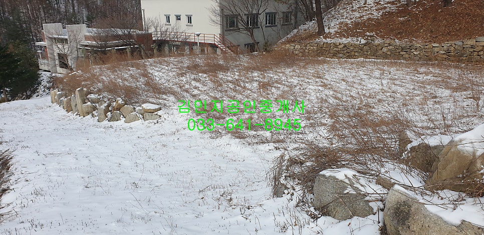 재레니골 사진 4