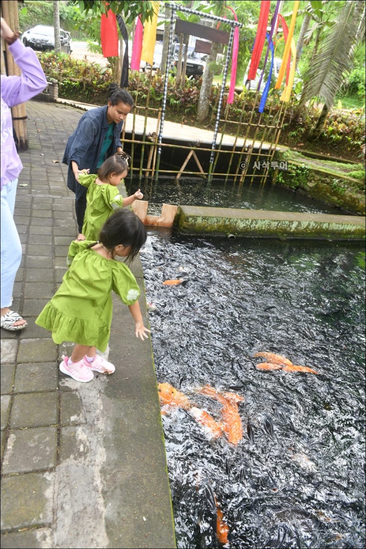  발리 물의 사원 Taman Mumbul Sangeh