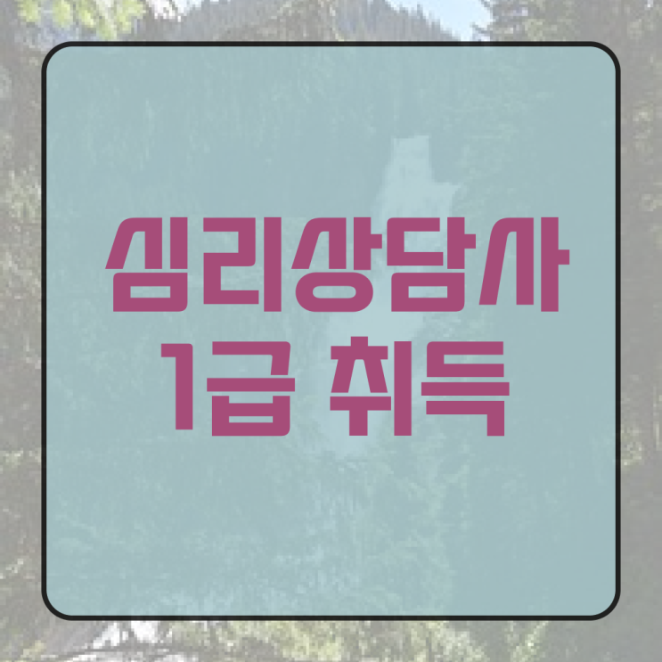  심리상담사 민가자격증 취업 궁금증 해결 !!!
