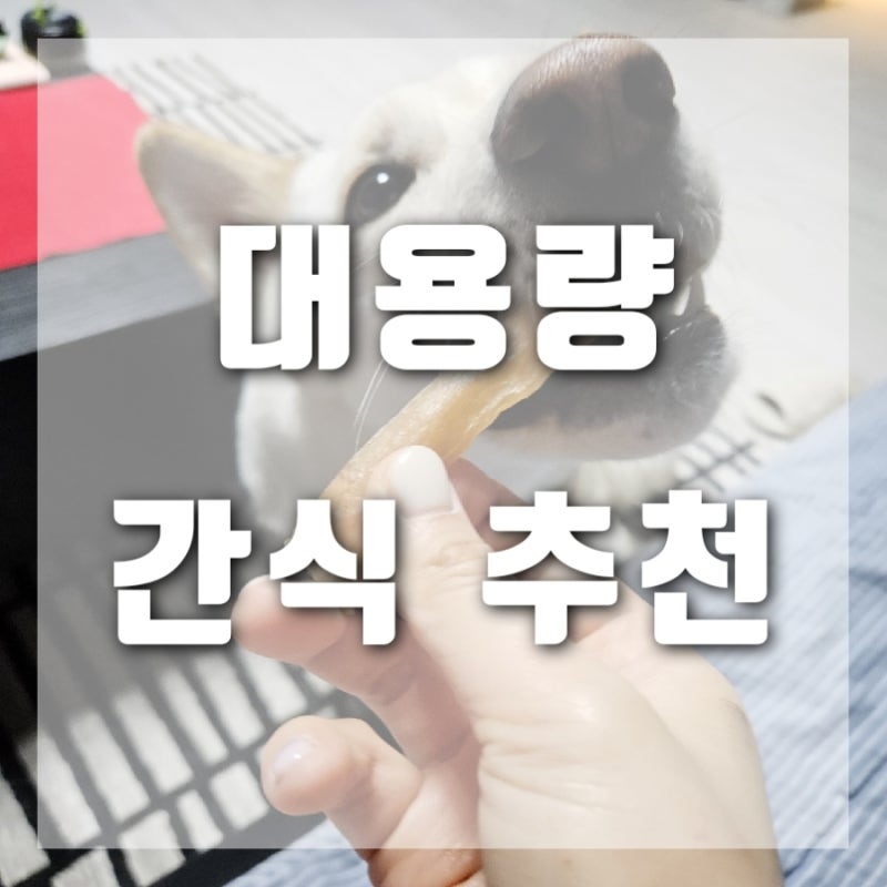 사진 3