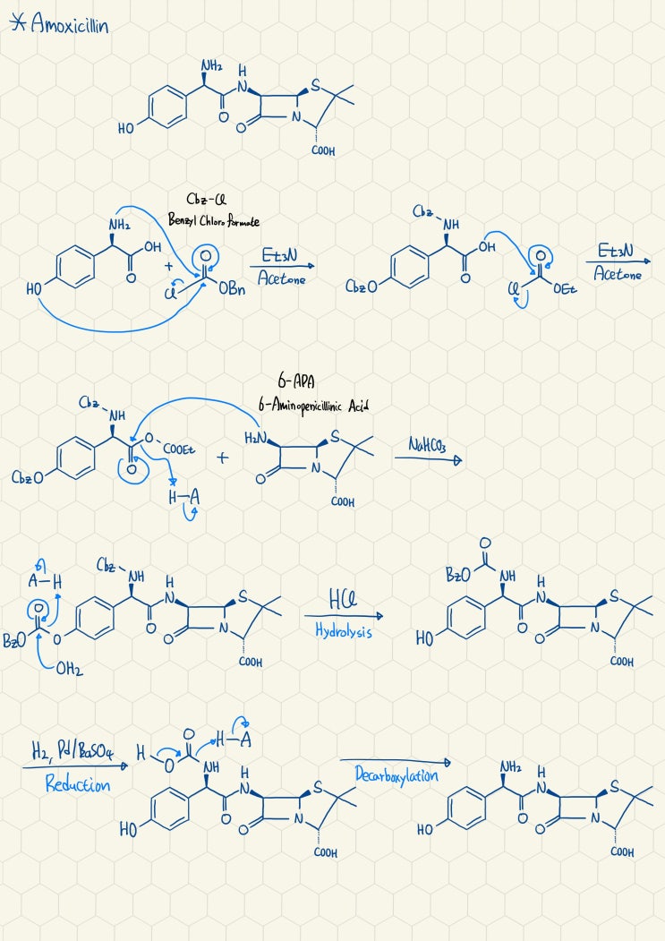  Amoxicillin의 합성기전